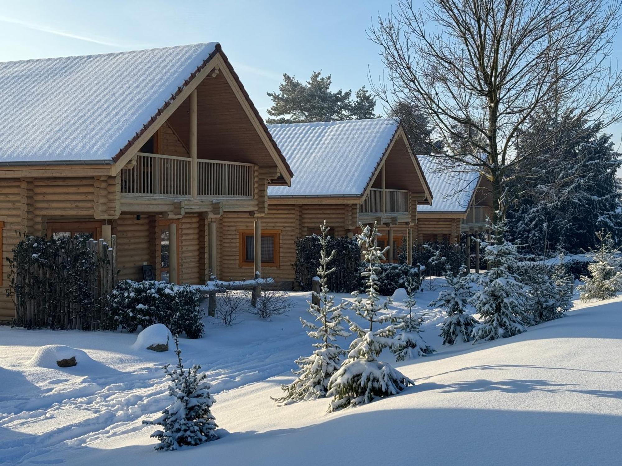 Boomstamhuis High Chaparral Oirsbeek Екстер'єр фото